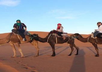 Excursion Camel Trekking Night in Berber Tent