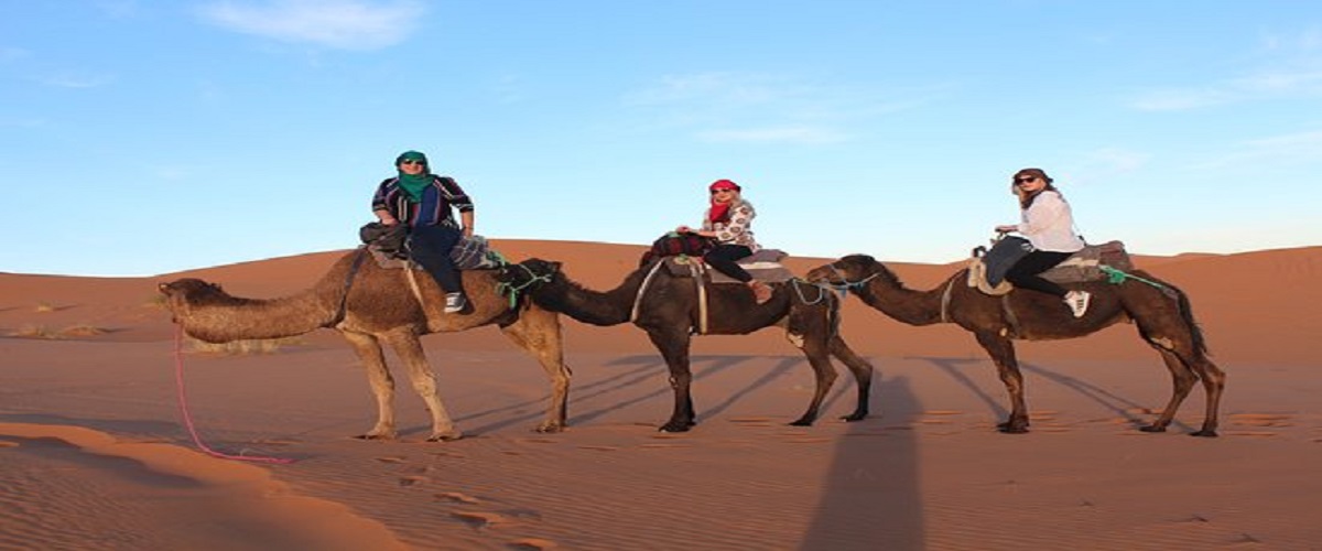 Excursion Camel Trekking Night in Berber Tent