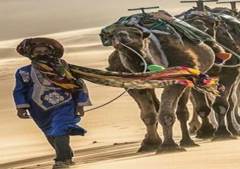 Camel Trekking 2 nights in the desert Erg Chebbi