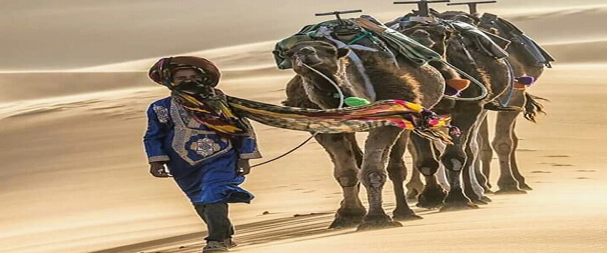 Camel Trekking 2 nights in the desert Erg Chebbi