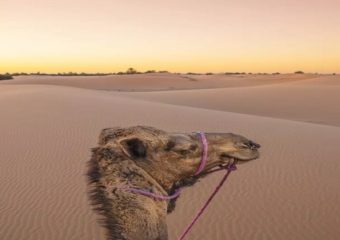 4 Days Trip Fes Desert Merzouga Fes