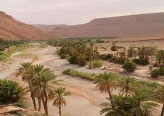 4 Day Trip Marrakech -High Atlas - Erg chebbi - Fez