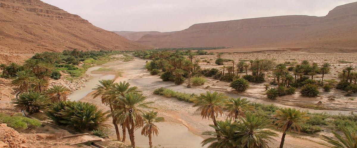 4 Day Trip Marrakech -High Atlas - Erg chebbi - Fez