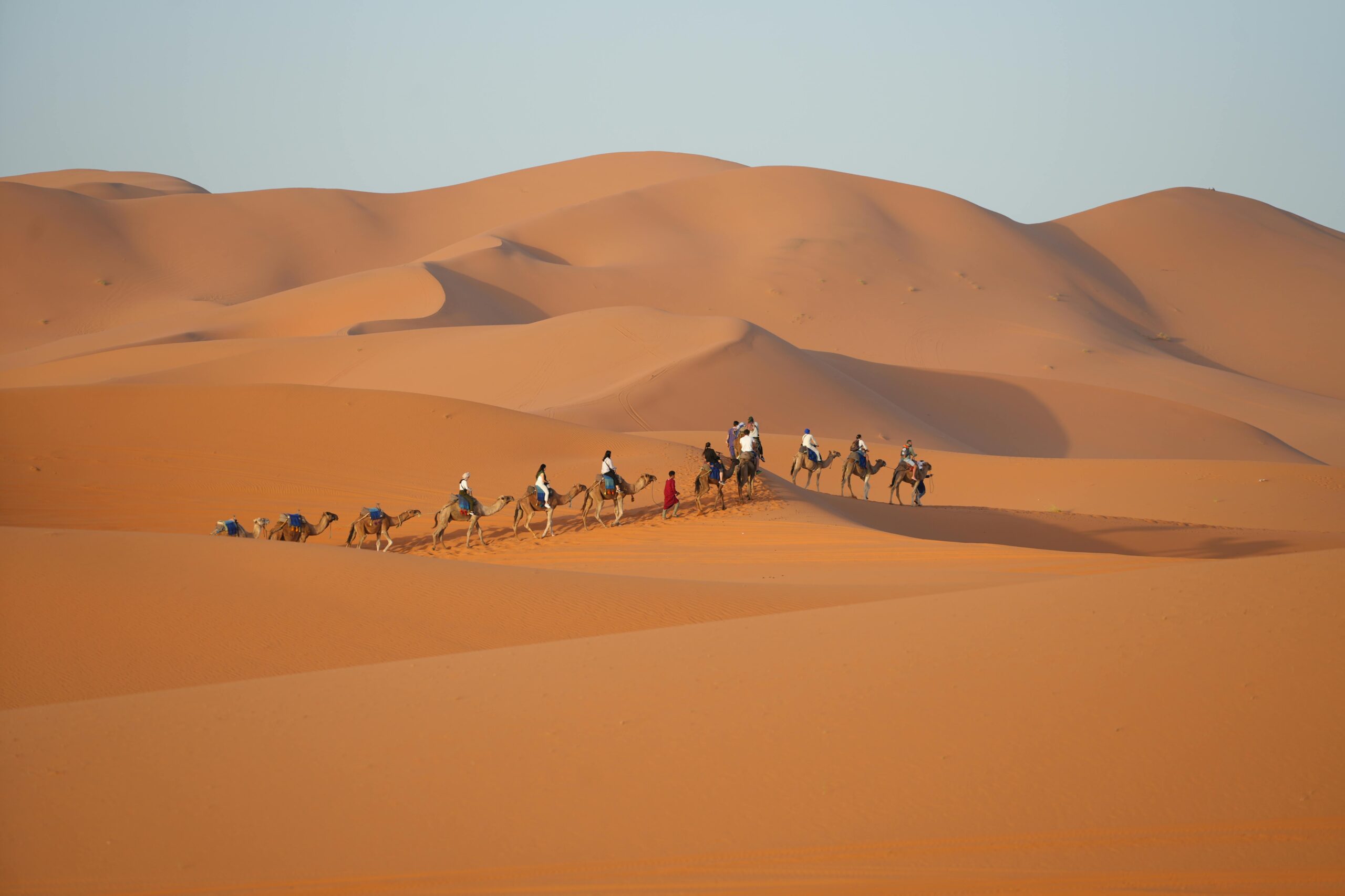 Excursion Camel Trekking Night in Berber Tent